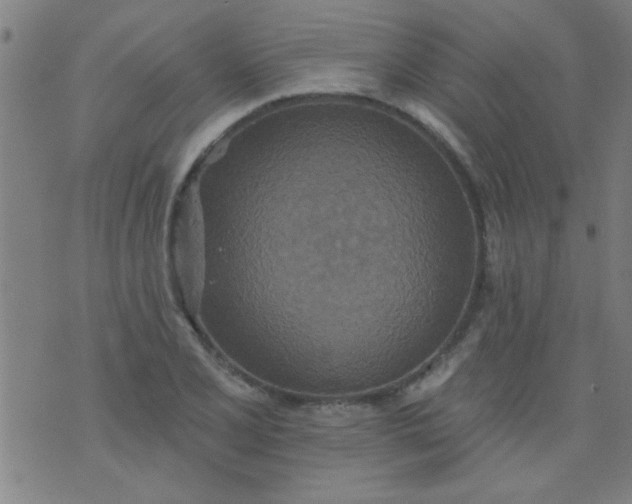 X0000076101077200610061701