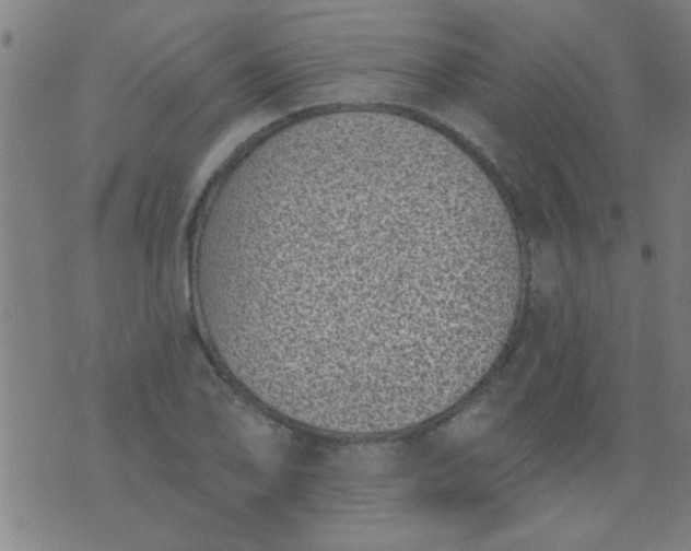 X0000076101078200610061701