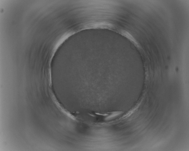 X0000076101079200610061701