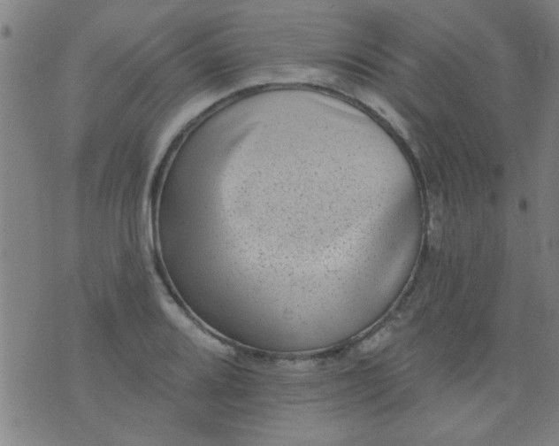 X0000076101080200610061701