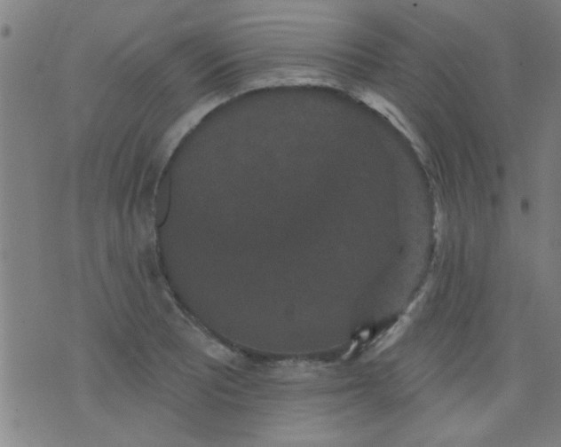 X0000076101081200610061701