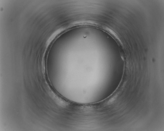 X0000076101082200610061701