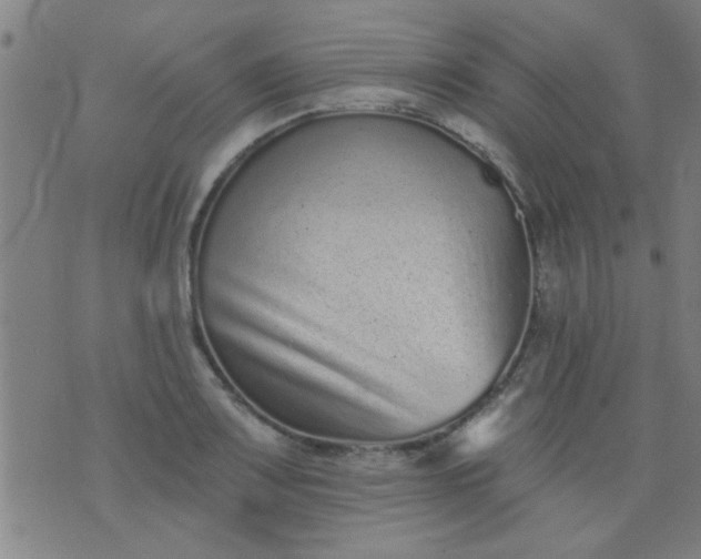 X0000076101083200610061701