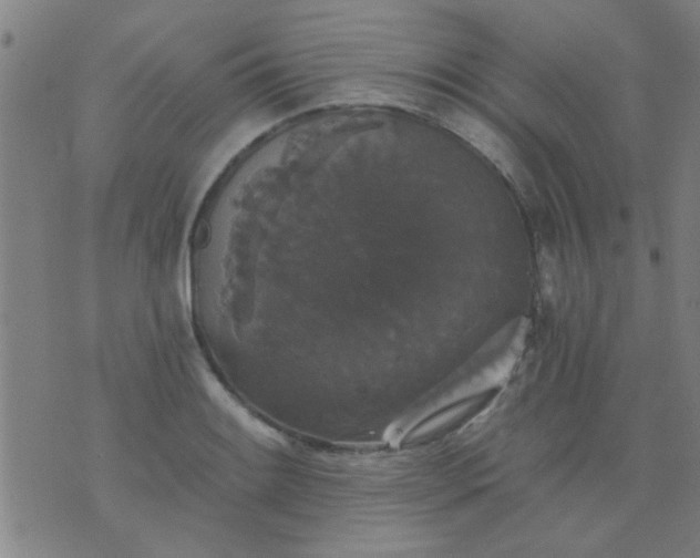 X0000076101084200610061700