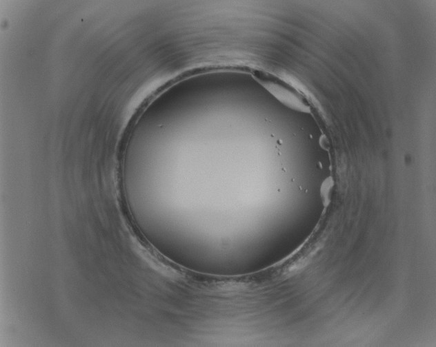 X0000076101085200610061700