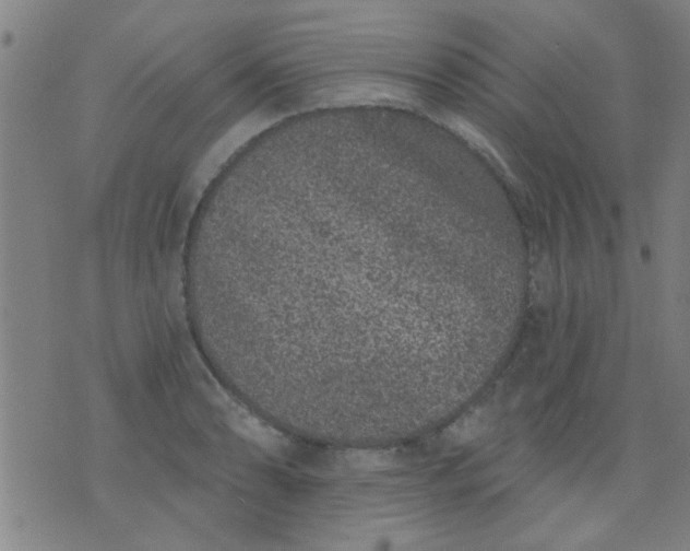 X0000076101086200610061700