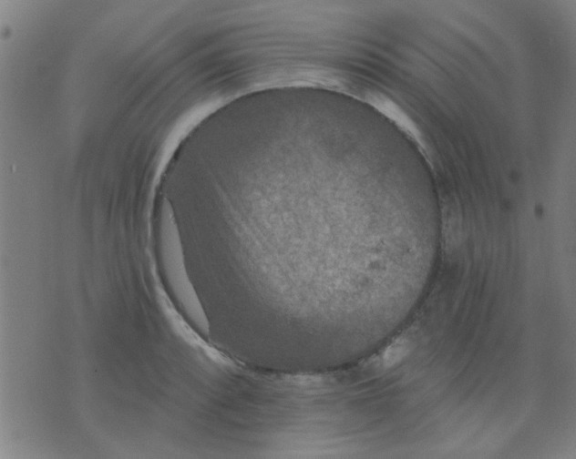 X0000076101088200610061700