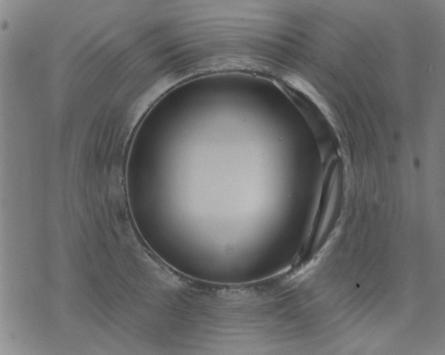 X0000076101089200610061700