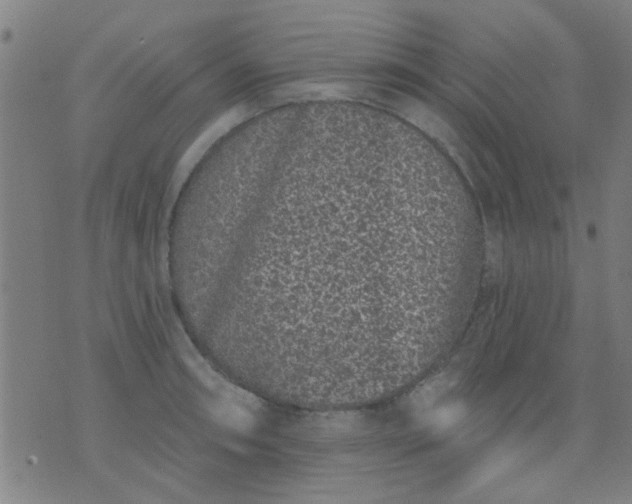 X0000076101090200610061700