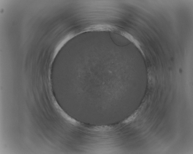 X0000076101091200610061700