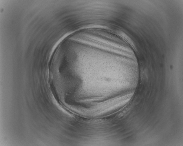 X0000076101092200610061700