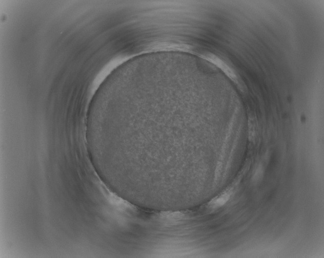 X0000076101094200610061700