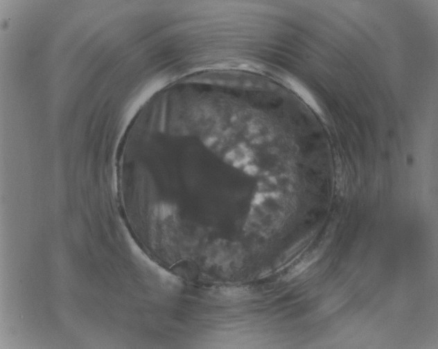 X0000076101095200610061700