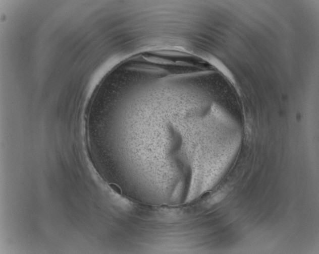 X0000076101096200610061700