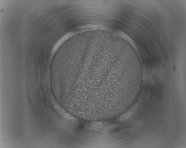 X0000076101098200610061700