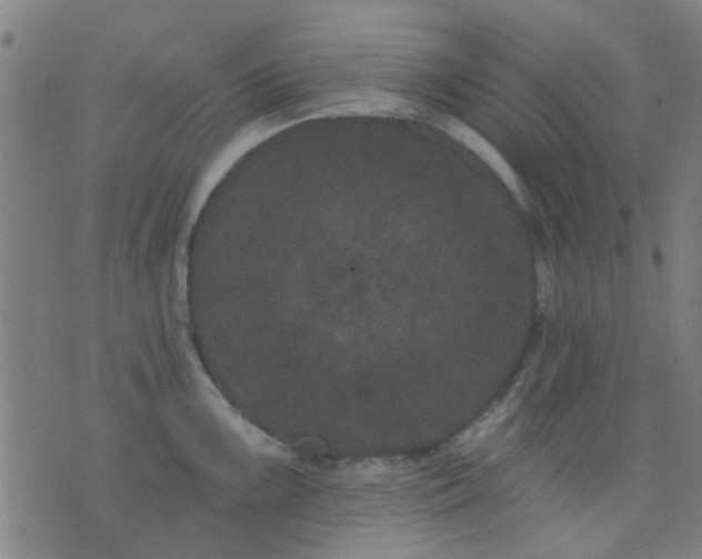 X0000076101099200610061700