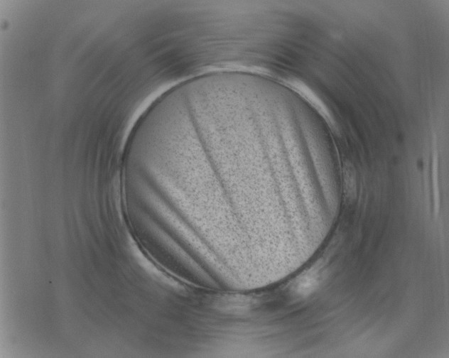 X0000076101100200610061700