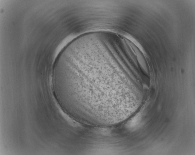 X0000076101101200610061700