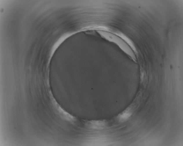 X0000076101102200610061700