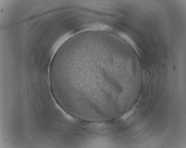 X0000076101103200610061700