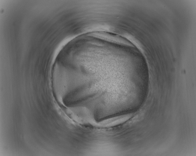 X0000076101104200610061700