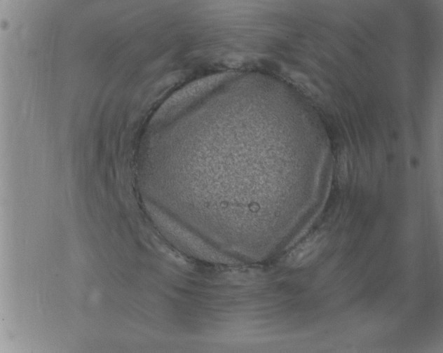 X0000076101105200610061659