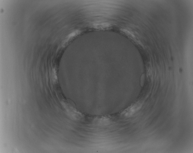 X0000076101106200610061659