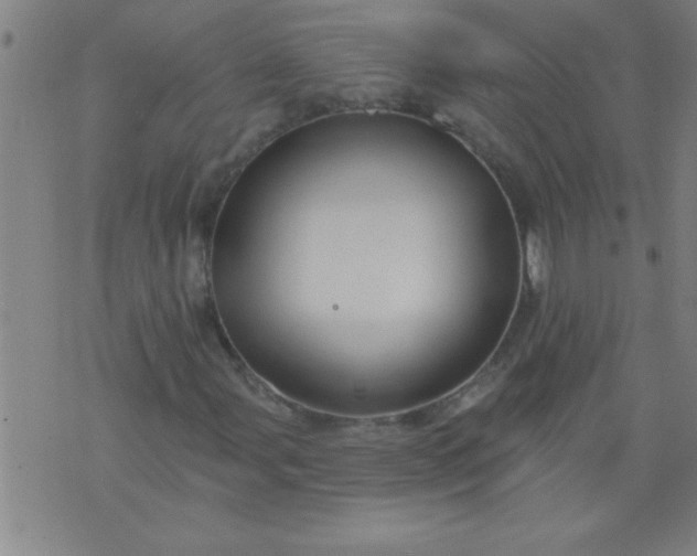 X0000076101107200610061659