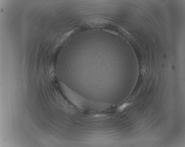 X0000076101108200610061659