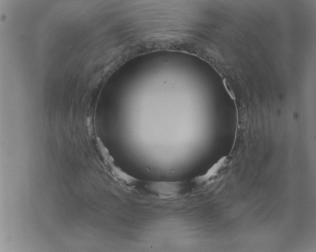 X0000076101109200610061659