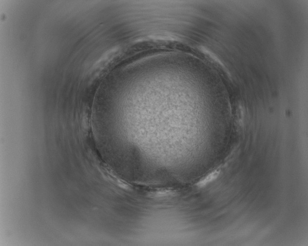 X0000076101110200610061659