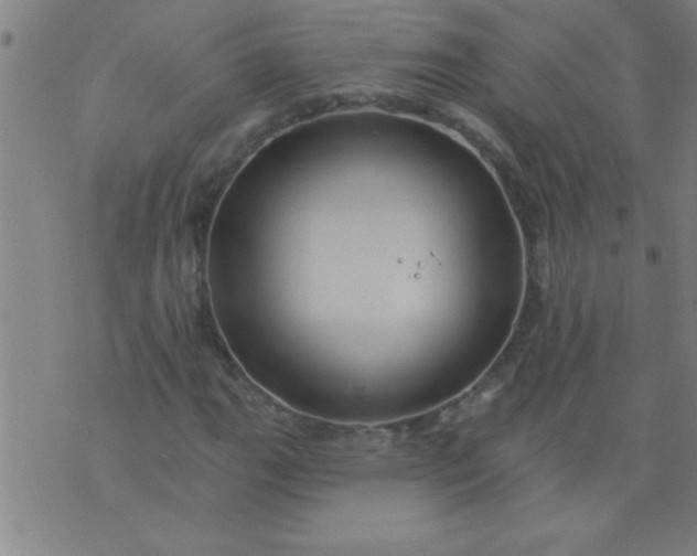 X0000076101111200610061659