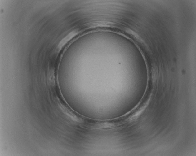 X0000076101113200610061700