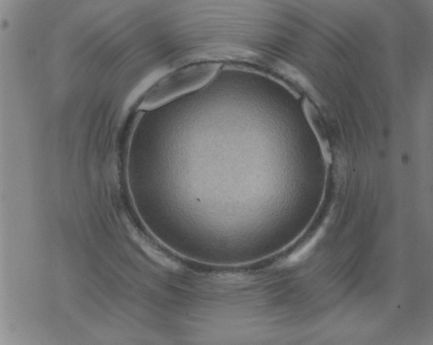 X0000076101114200610061700