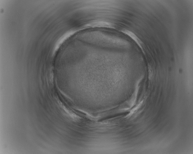 X0000076101115200610061700