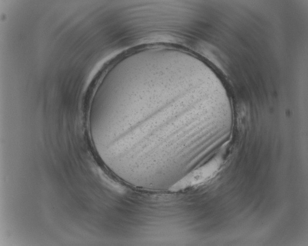 X0000076101116200610061700