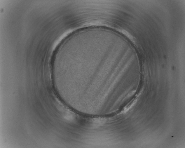 X0000076101118200610061700