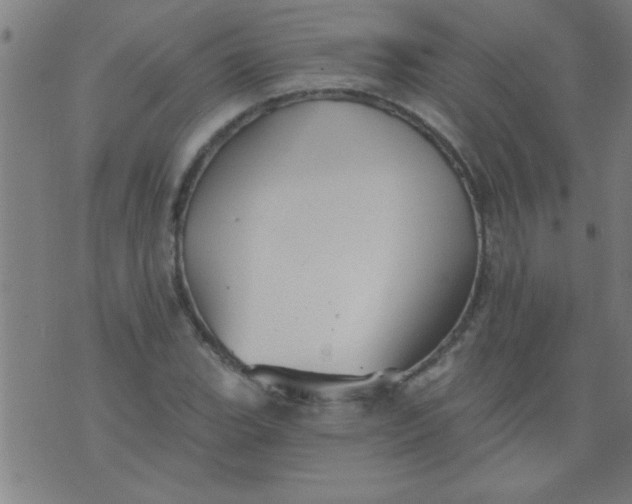 X0000076101119200610061700