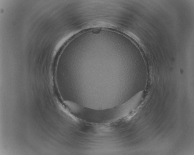 X0000076101120200610061700