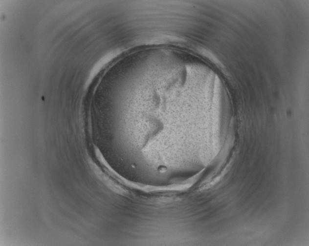 X0000076101122200610061700