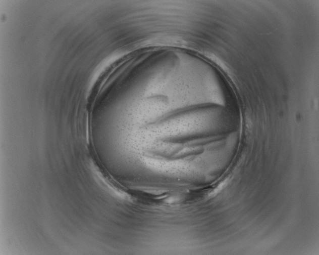 X0000076101123200610061700