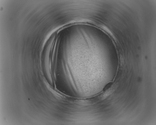 X0000076101124200610061700