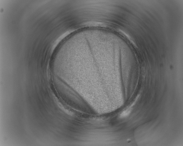 X0000076101125200610061700