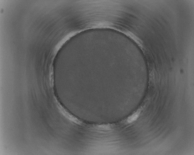 X0000076101126200610061700