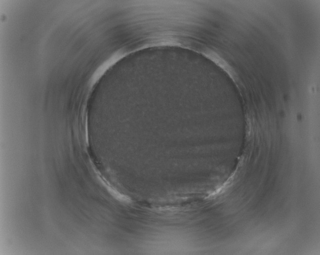 X0000076101127200610061700