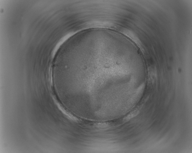 X0000076101128200610061700