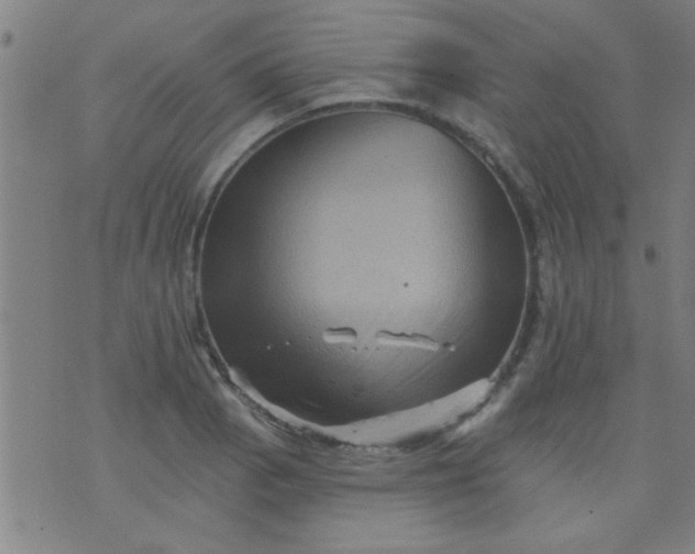 X0000076101129200610061700