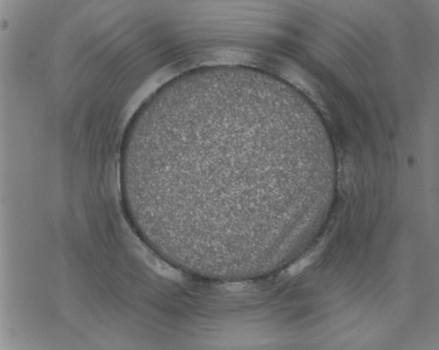 X0000076101130200610061700