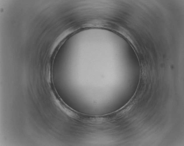 X0000076101131200610061700