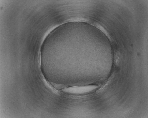 X0000076101132200610061700